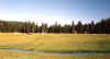 hock95_meadow.jpg (49398 bytes)