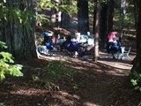 redwoods aug 15_ (8)