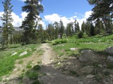 jul17_sierra_20