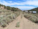 tonopah jul 22 bred andy (18)